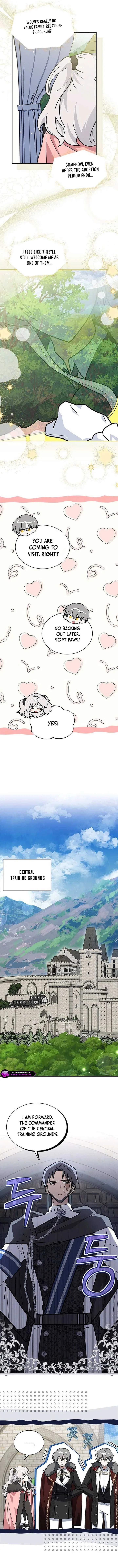 You’re a Cat, But You’ve Been Adopted by a Wolf Family? Chapter 54 – Page 5