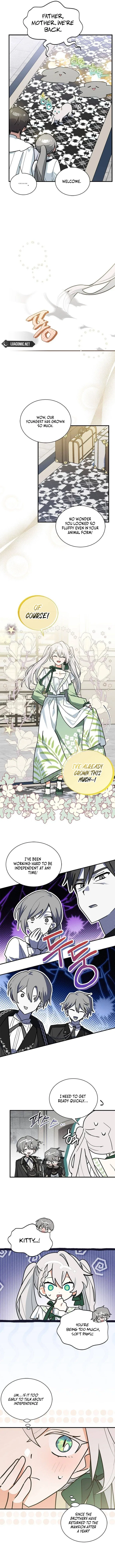 You’re a Cat, But You’ve Been Adopted by a Wolf Family? Chapter 48 – Page 8