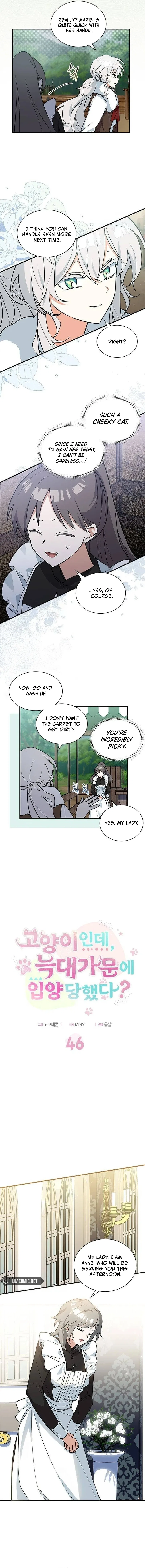 You’re a Cat, But You’ve Been Adopted by a Wolf Family? Chapter 46 – Page 5