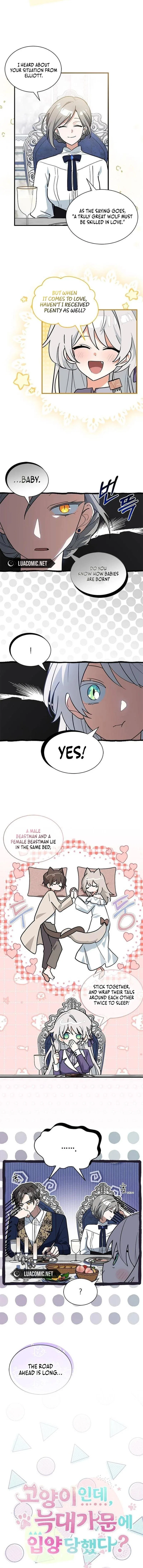 You’re a Cat, But You’ve Been Adopted by a Wolf Family? Chapter 43 – Page 2