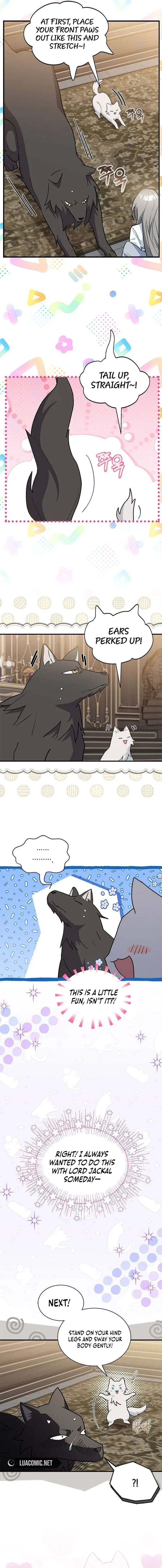 You’re a Cat, But You’ve Been Adopted by a Wolf Family? Chapter 42 – Page 9