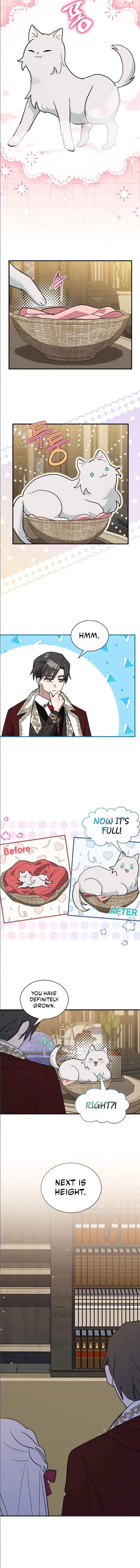 You’re a Cat, But You’ve Been Adopted by a Wolf Family? Chapter 41 – Page 2