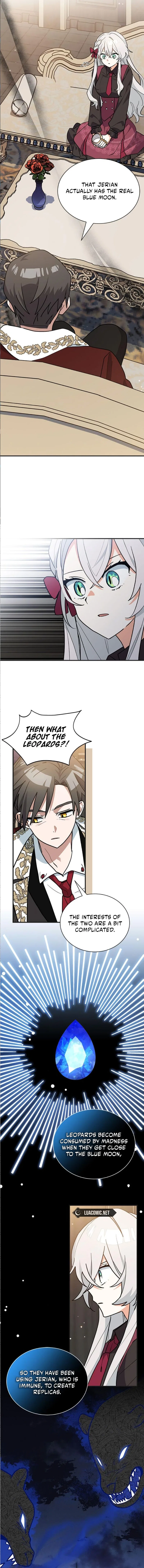 You’re a Cat, But You’ve Been Adopted by a Wolf Family? Chapter 41 – Page 5