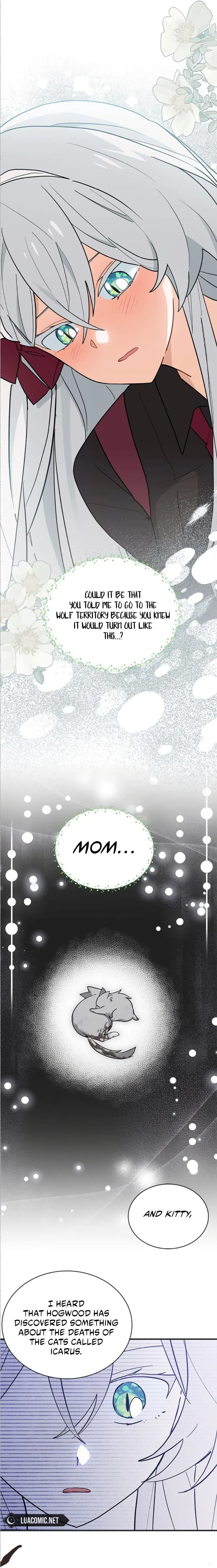You’re a Cat, But You’ve Been Adopted by a Wolf Family? Chapter 41 – Page 11