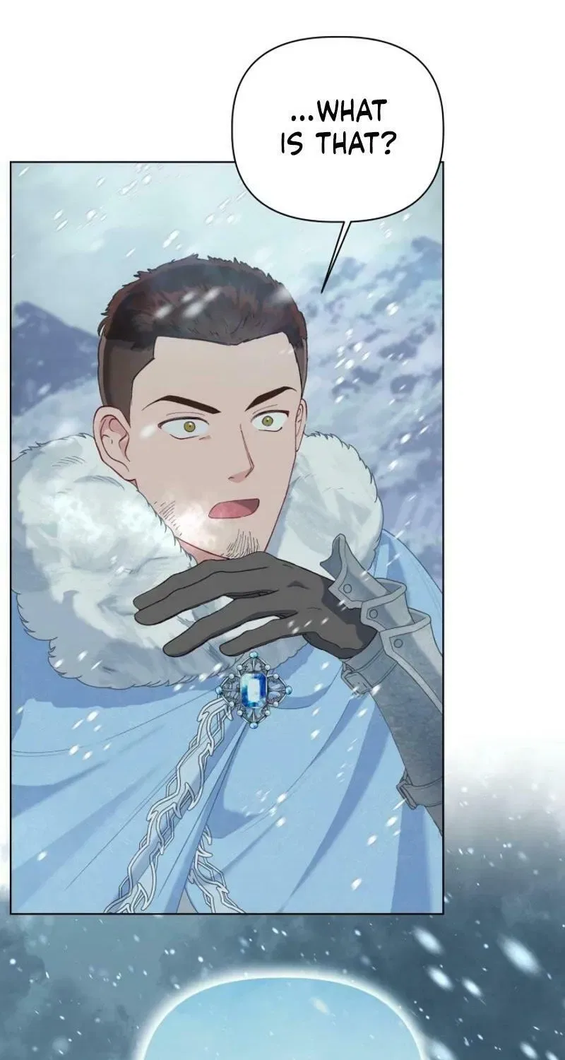 A Transmigrator’s Privilege Chapter 89 – Page 30