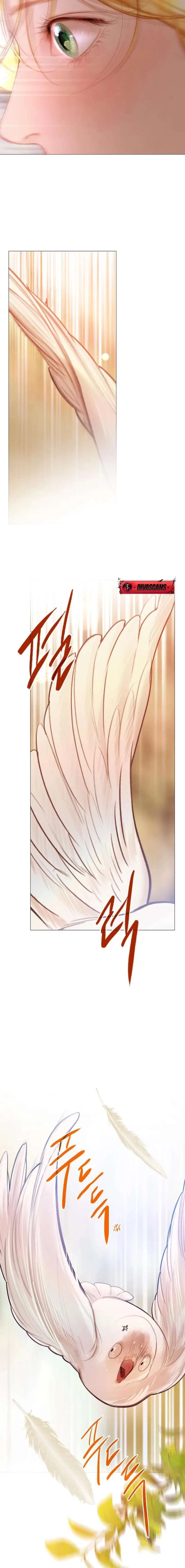 Cry, Even Better If You Beg Chapter 74 – Page 8