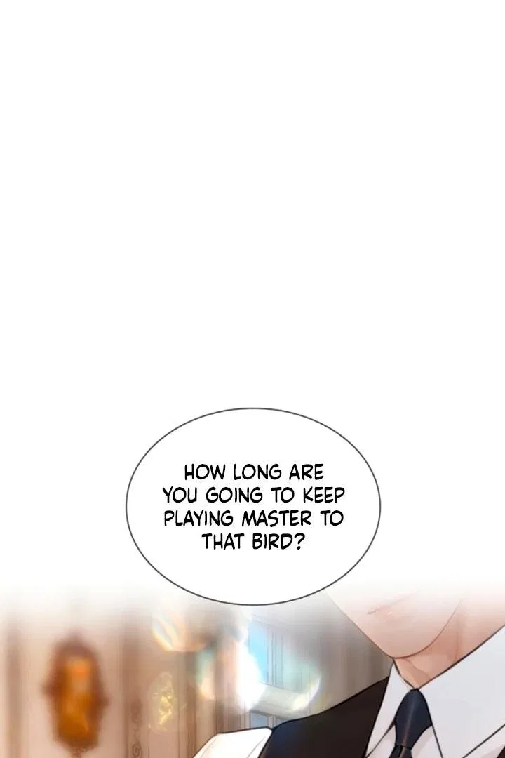 Cry, Even Better If You Beg Chapter 68 – Page 7