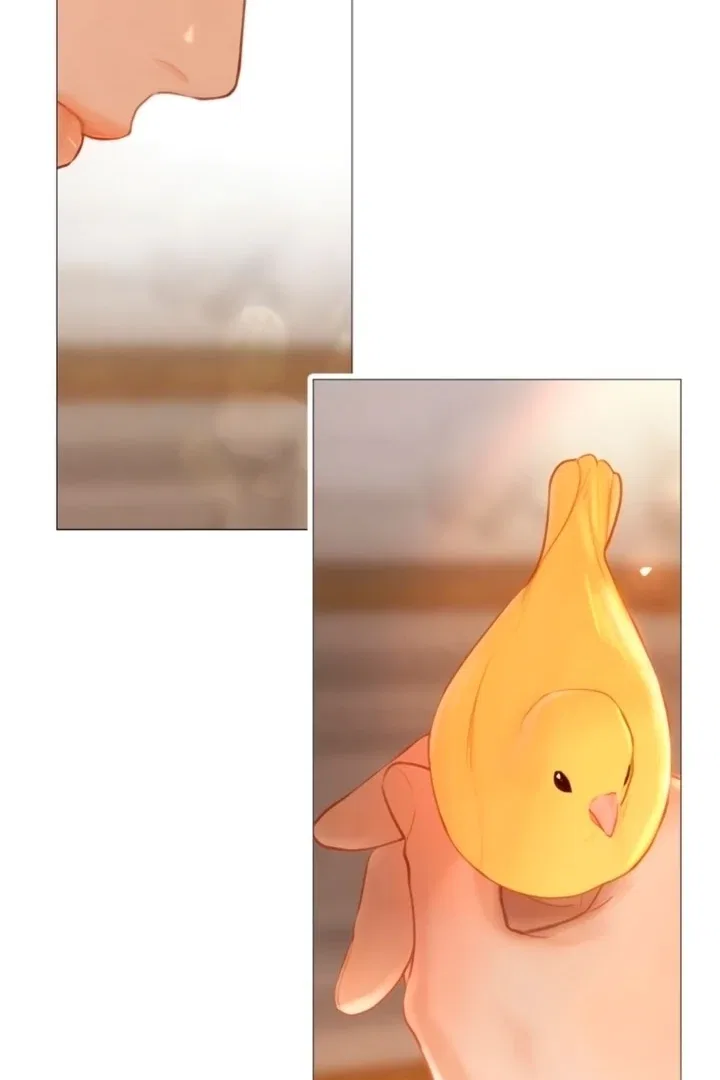 Cry, Even Better If You Beg Chapter 68 – Page 46