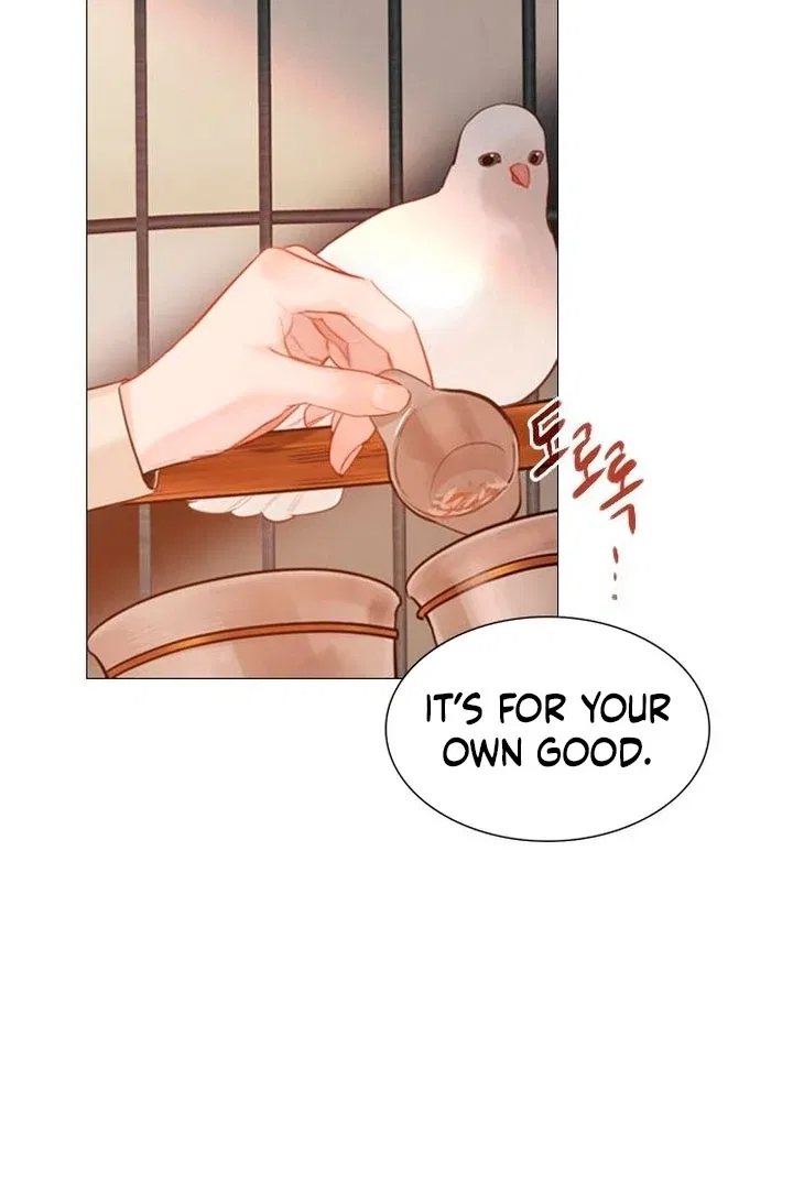 Cry, Even Better If You Beg Chapter 65 – Page 40