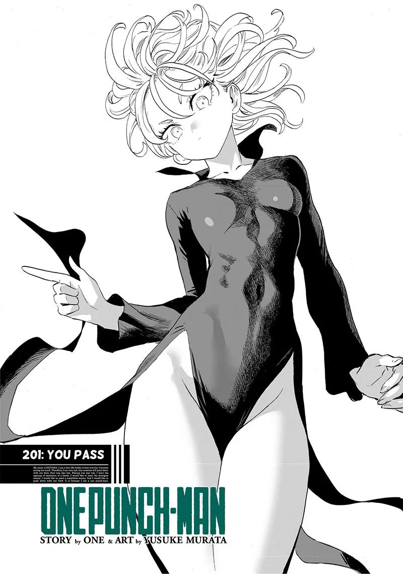 Onepunch-Man Chapter 201.5 – Page 1