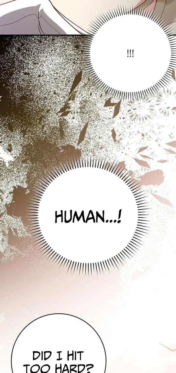 Max Level Player Chapter 121 – Page 26