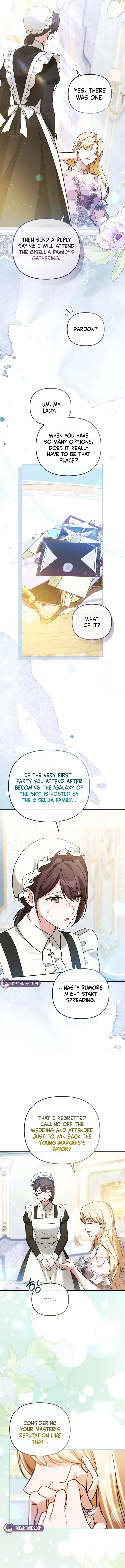 Even if I Hide My Power, the Noble Lady Is the Strongest Chapter 48 – Page 3