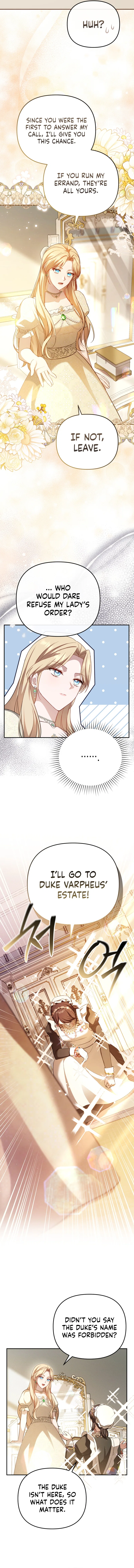 Even if I Hide My Power, the Noble Lady Is the Strongest Chapter 9 – Page 4