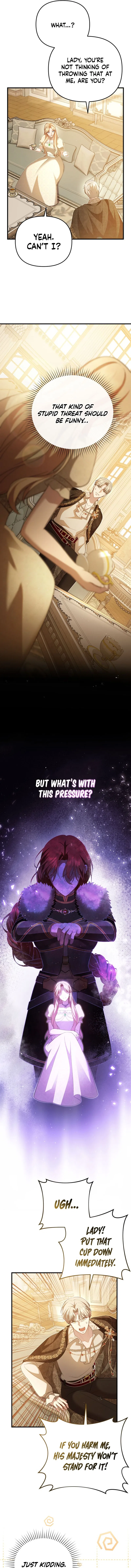 Even if I Hide My Power, the Noble Lady Is the Strongest Chapter 8 – Page 3