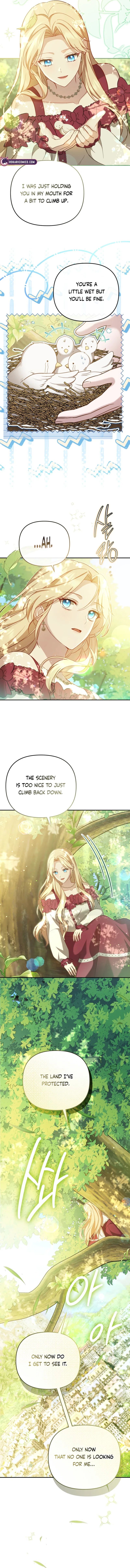 Even if I Hide My Power, the Noble Lady Is the Strongest Chapter 5 – Page 8