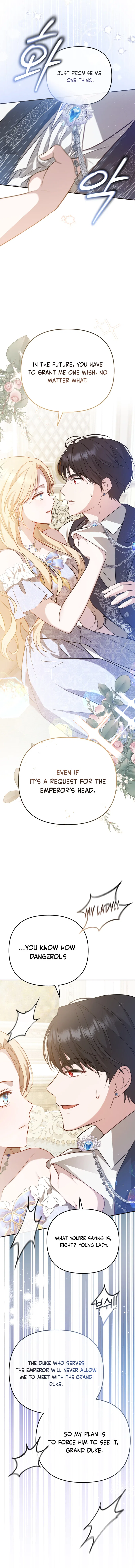 Even if I Hide My Power, the Noble Lady Is the Strongest Chapter 3 – Page 17