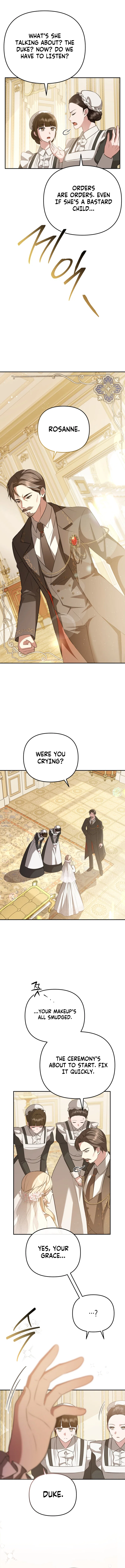 Even if I Hide My Power, the Noble Lady Is the Strongest Chapter 1 – Page 5