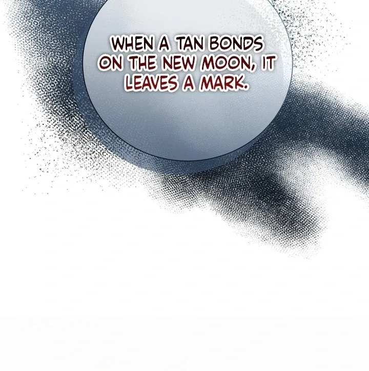 The Fake Saint of a Reverse Harem Game Chapter 28 – Page 27