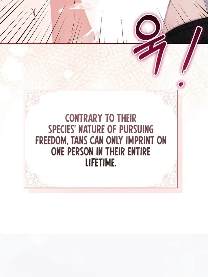 The Fake Saint of a Reverse Harem Game Chapter 27 – Page 52