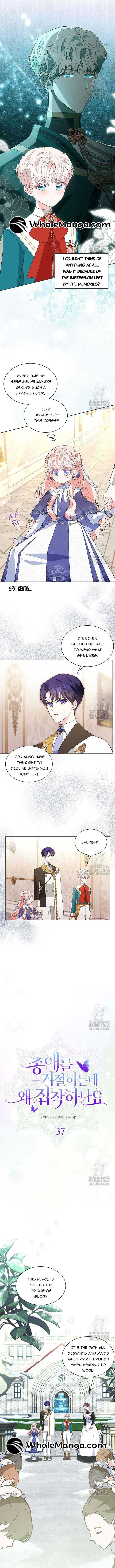 Why Are You Obsessed When I Reject Your Favor Chapter 37 – Page 6