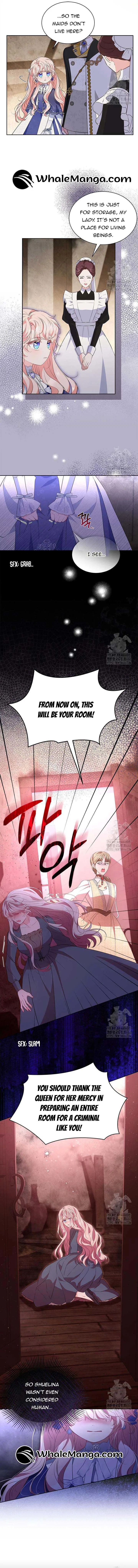 Why Are You Obsessed When I Reject Your Favor Chapter 37 – Page 9