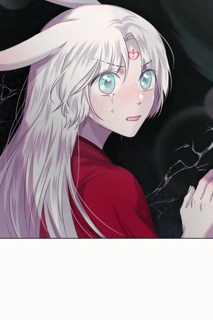 The Baby Dragon and the Rabbit Spirit Chapter 47 – Page 65