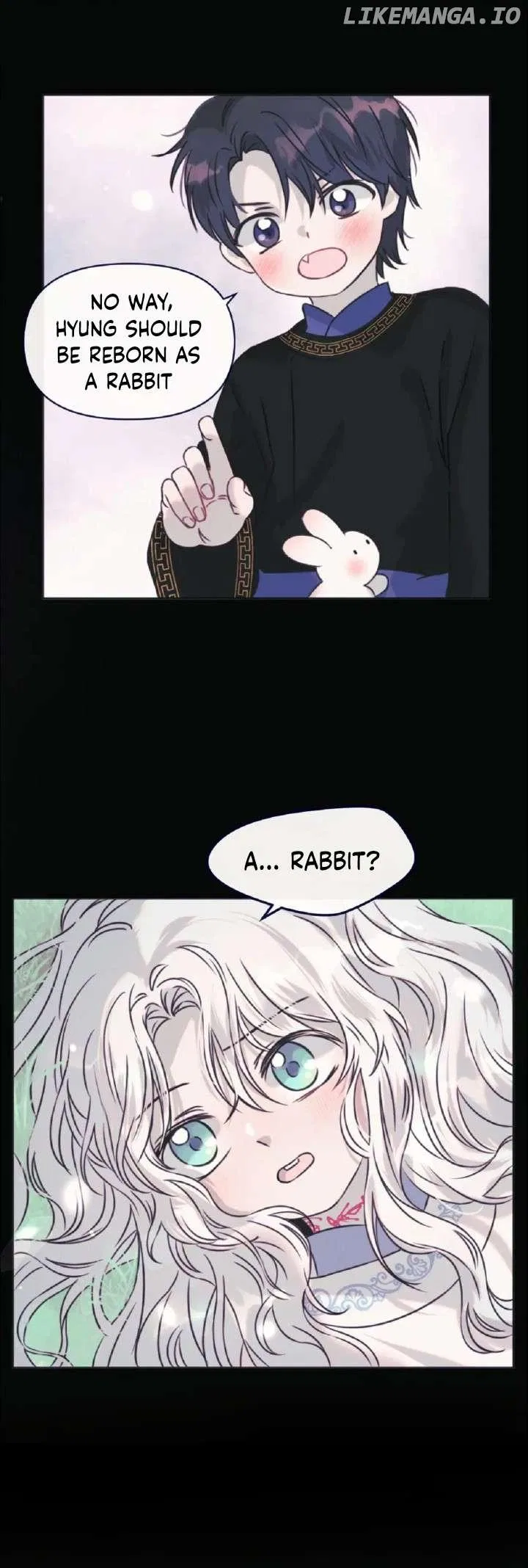 The Baby Dragon and the Rabbit Spirit Chapter 29 – Page 2