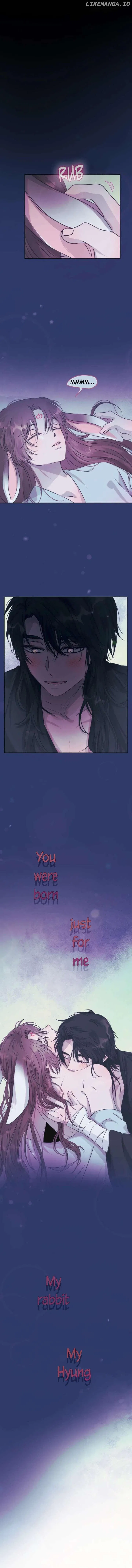The Baby Dragon and the Rabbit Spirit Chapter 29 – Page 8