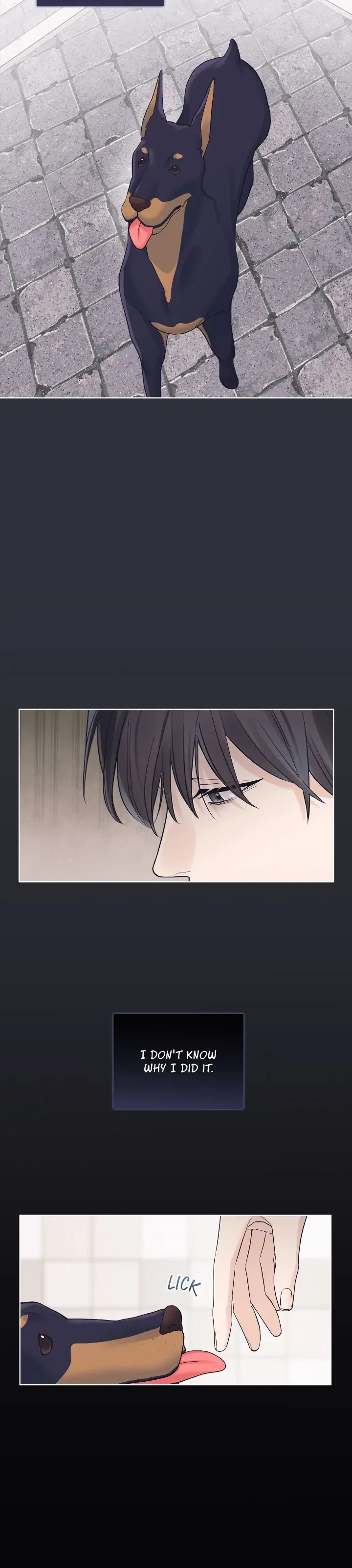Monochrome Rumor Chapter 76 – Page 10