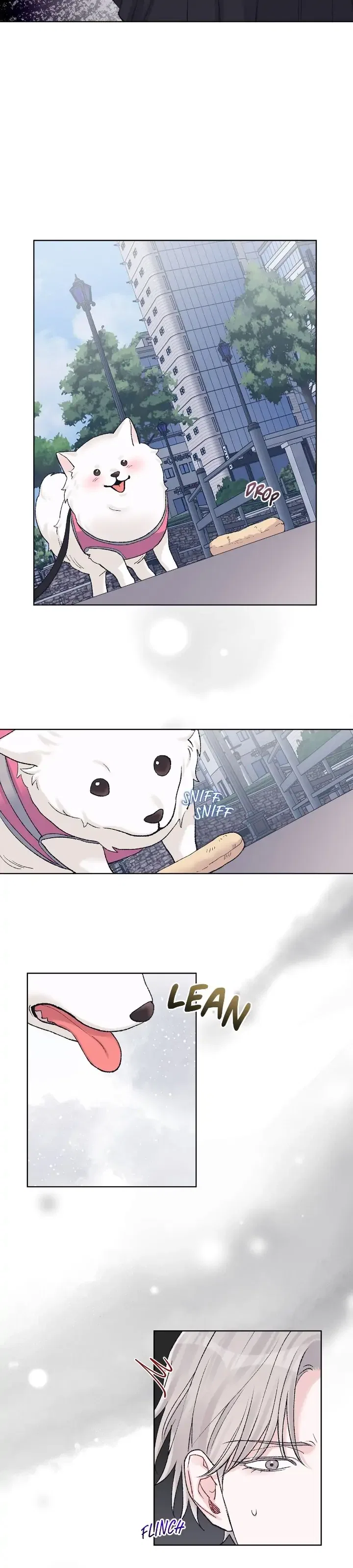 Monochrome Rumor Chapter 70 – Page 19