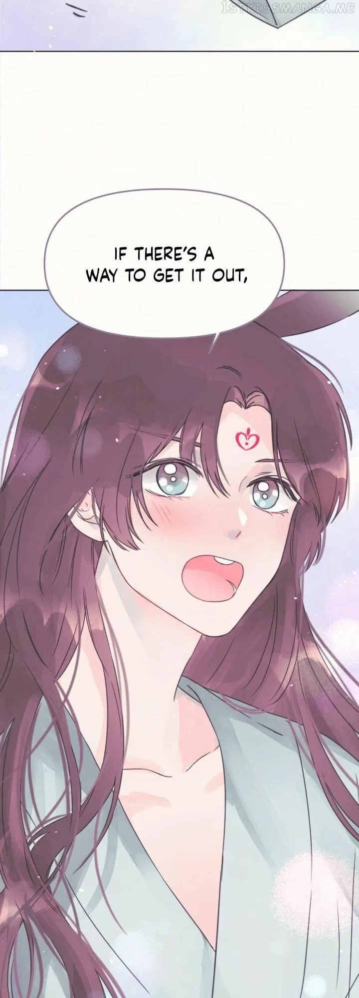The Baby Dragon and the Rabbit Spirit Chapter 8 – Page 24