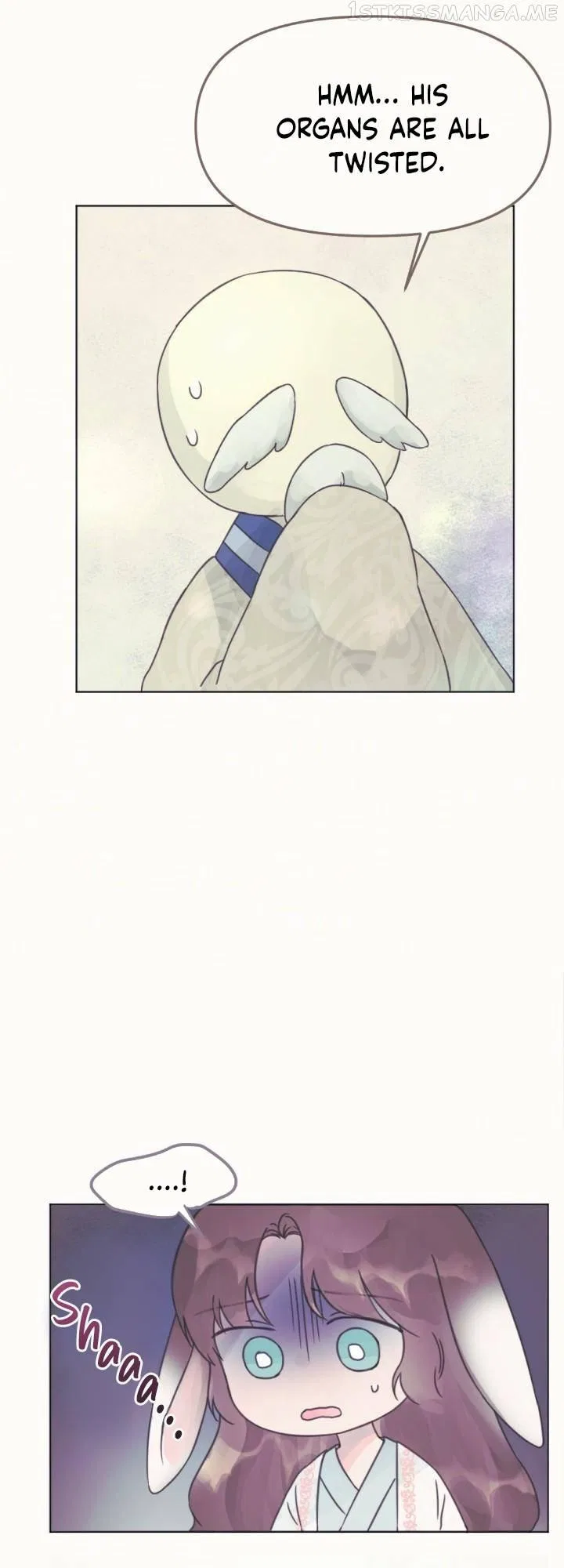 The Baby Dragon and the Rabbit Spirit Chapter 8 – Page 30