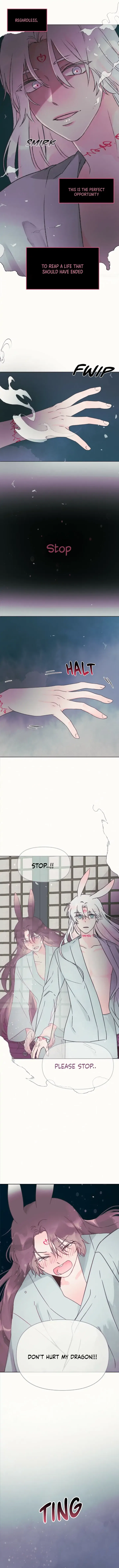 The Baby Dragon and the Rabbit Spirit Chapter 7 – Page 3