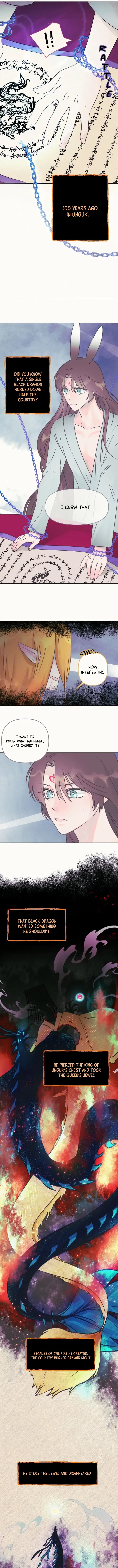 The Baby Dragon and the Rabbit Spirit Chapter 7 – Page 7