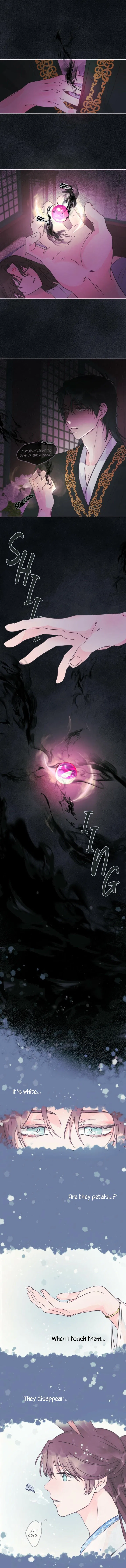 The Baby Dragon and the Rabbit Spirit Chapter 5 – Page 5