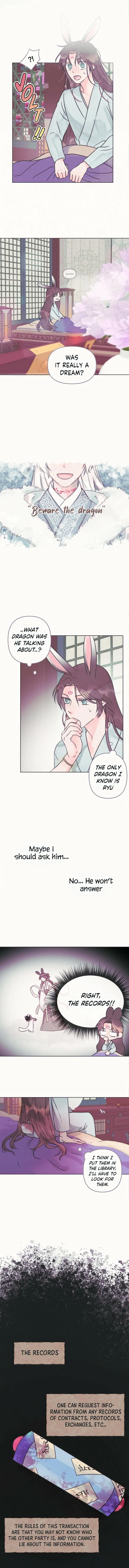 The Baby Dragon and the Rabbit Spirit Chapter 5 – Page 8