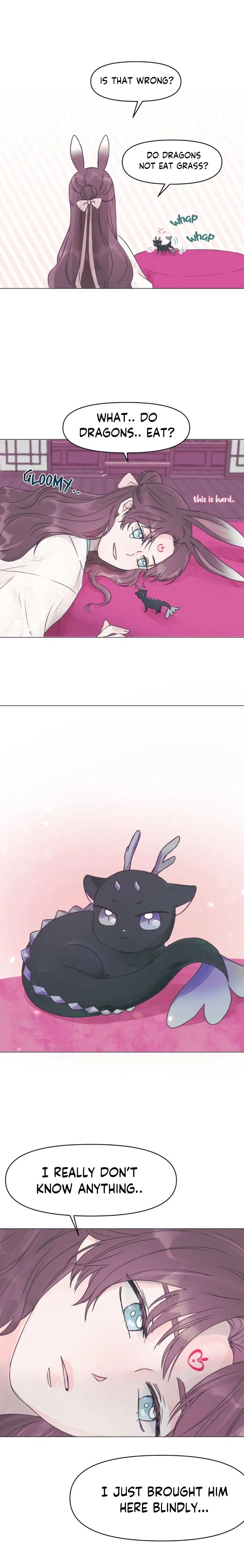 The Baby Dragon and the Rabbit Spirit Chapter 1 – Page 17