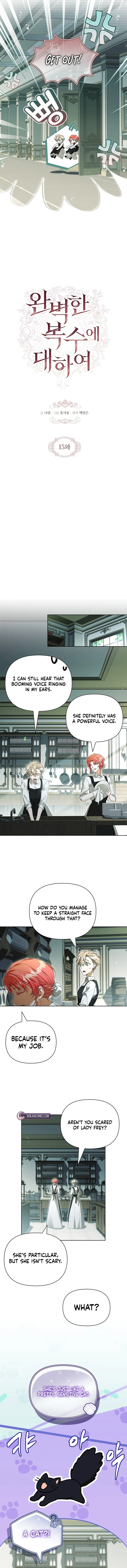On a Perfect Revenge Chapter 15 – Page 3