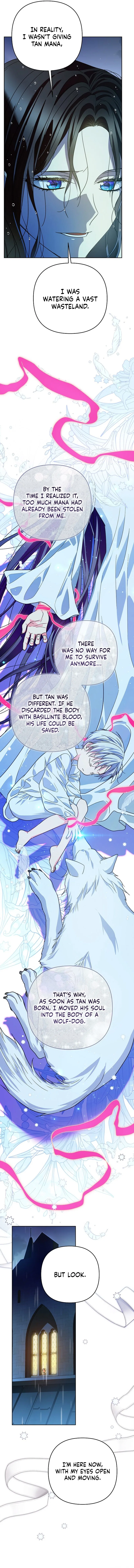 En Travesti: I Became a Fake Prince Chapter 29 – Page 5