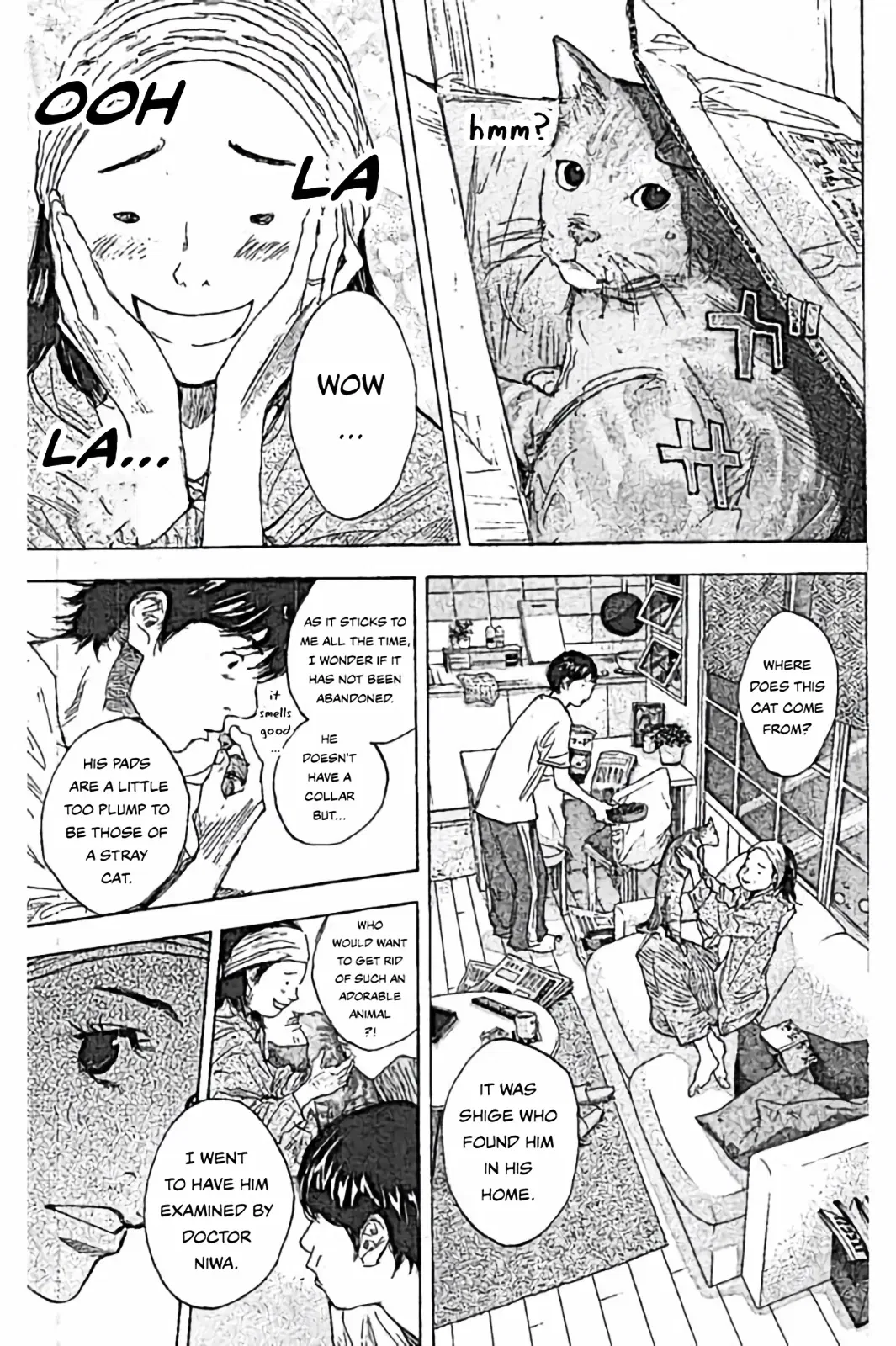 Ahiru no Sora Chapter 253 – Page 5