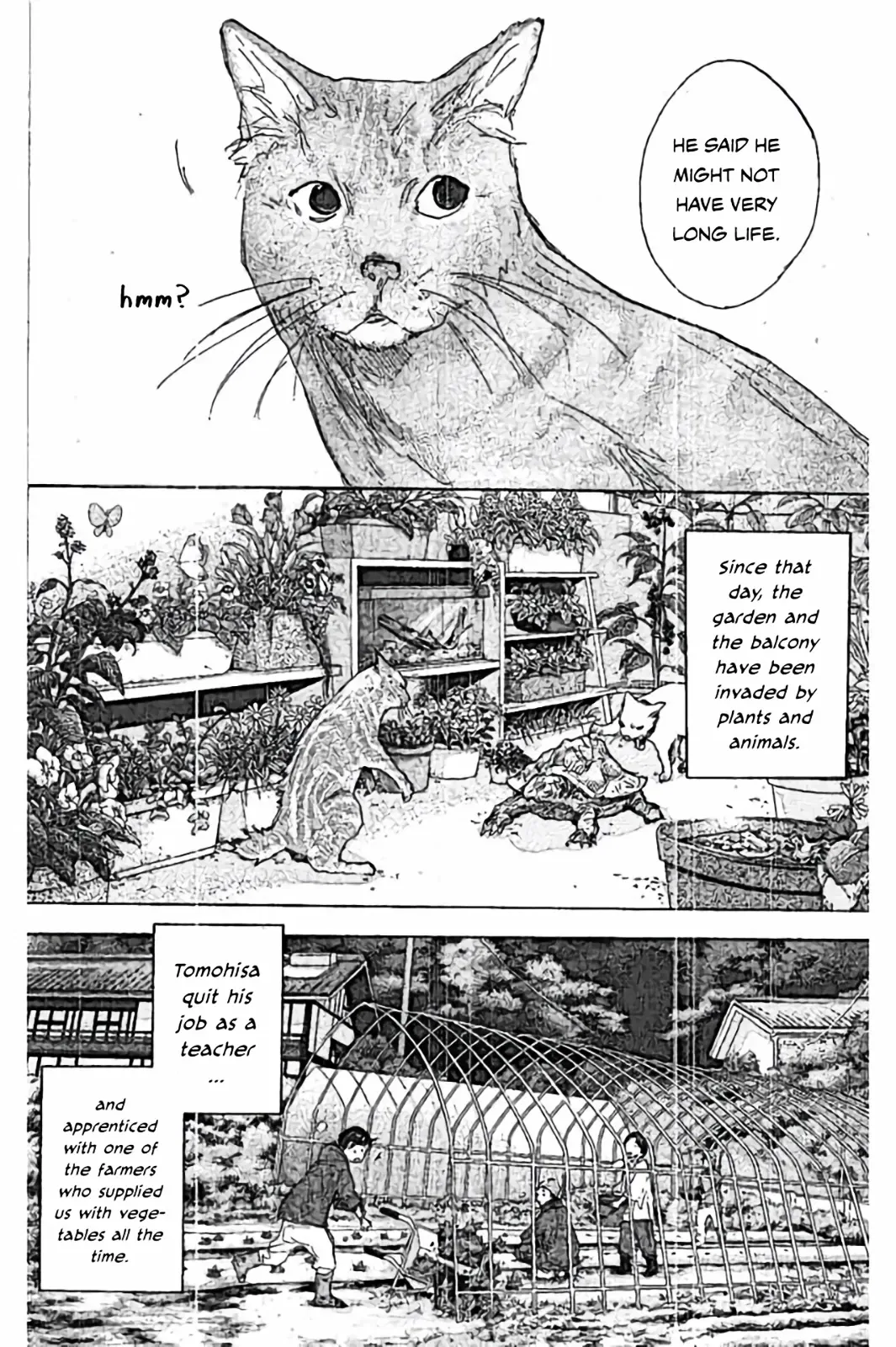 Ahiru no Sora Chapter 253 – Page 6