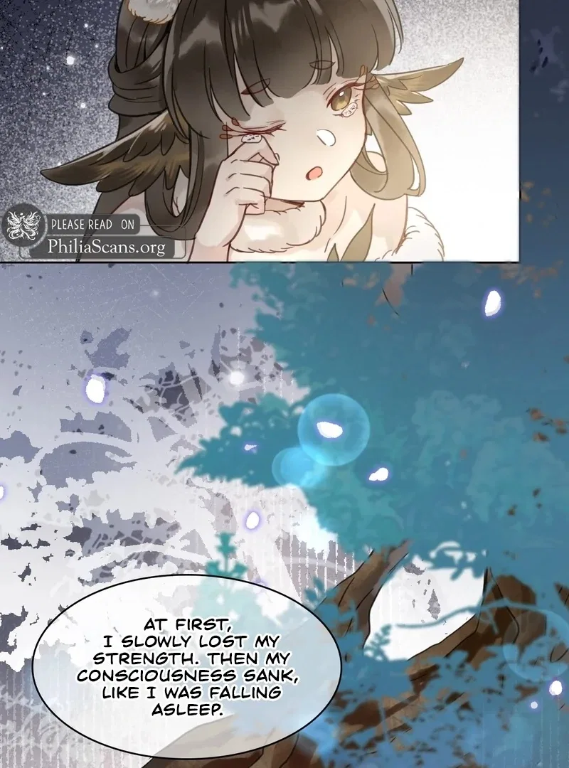 Court of Music and Dance Chapter 15 – Page 47
