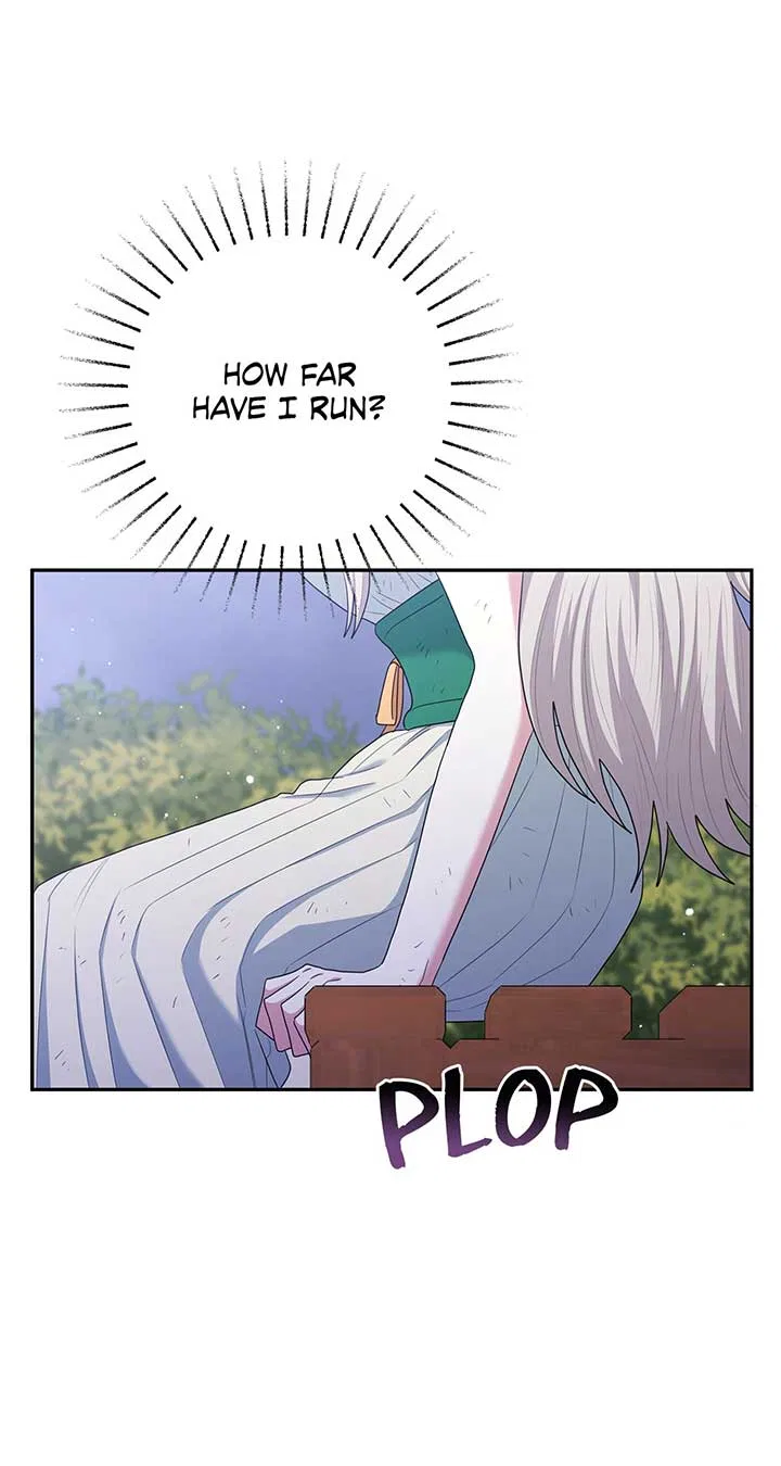 The Esteemed Lady of the Tea Garden Chapter 49 – Page 27