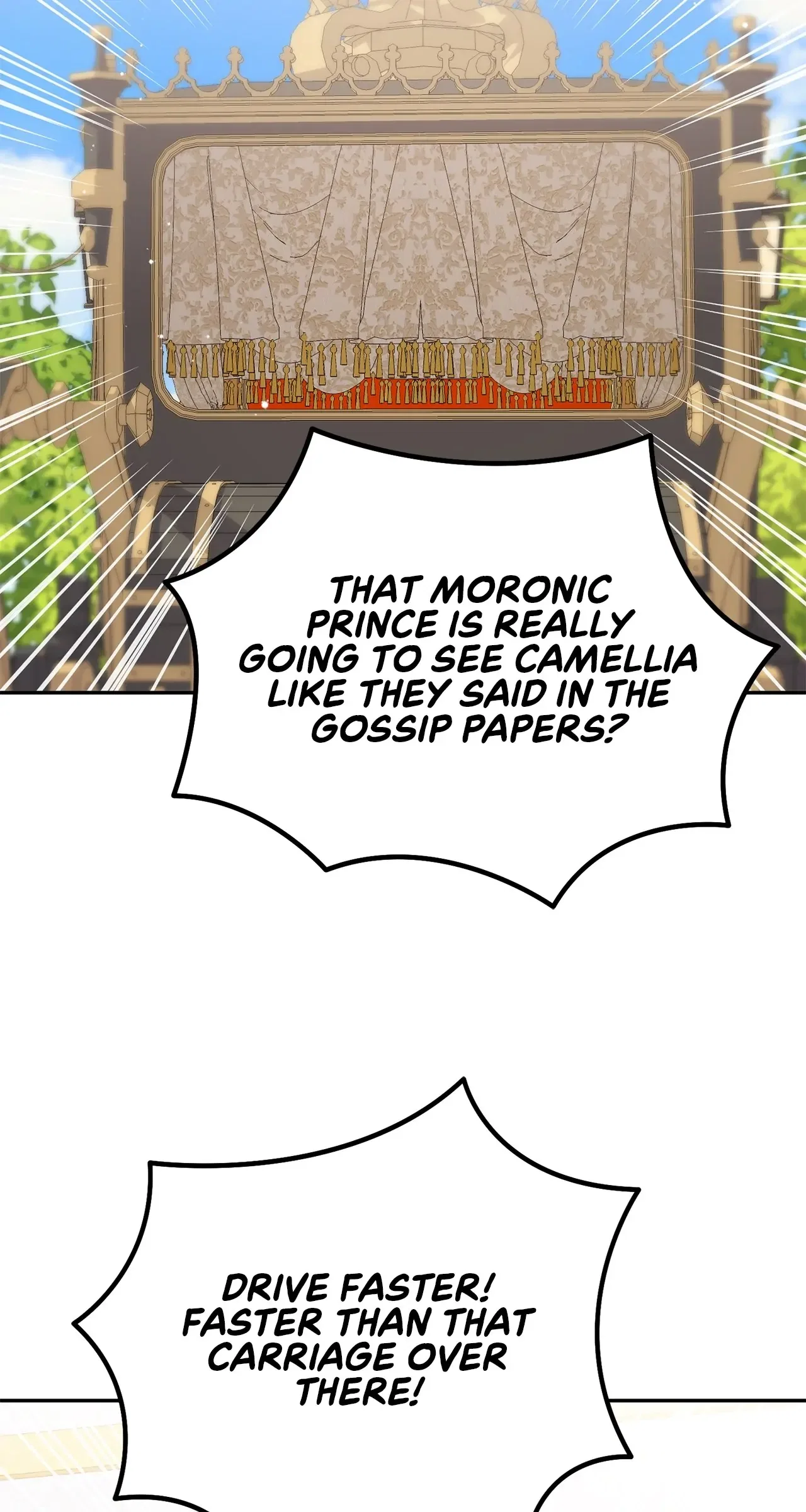 The Esteemed Lady of the Tea Garden Chapter 34 – Page 79