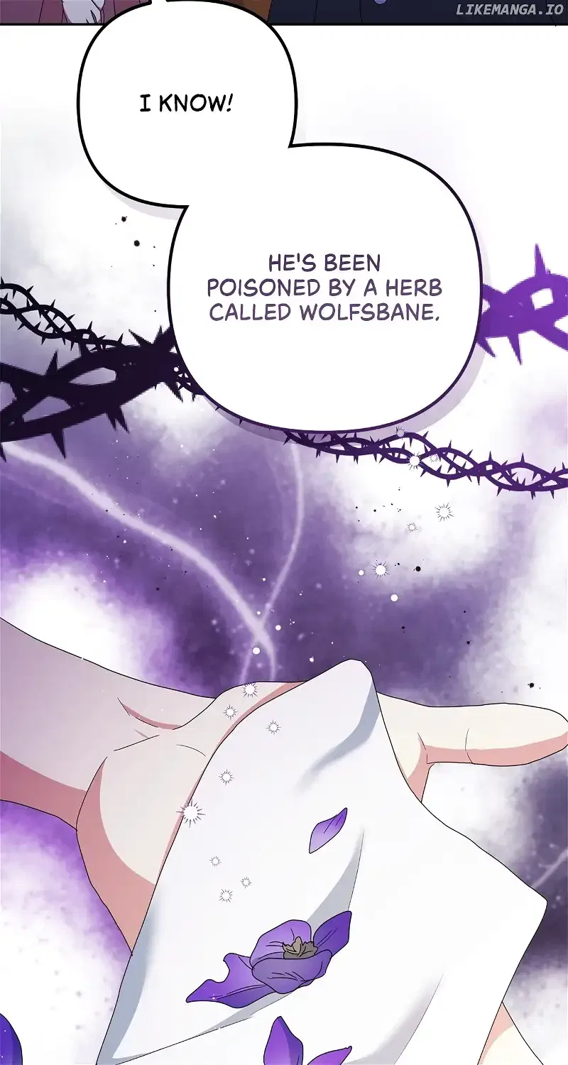 The Esteemed Lady of the Tea Garden Chapter 31 – Page 47