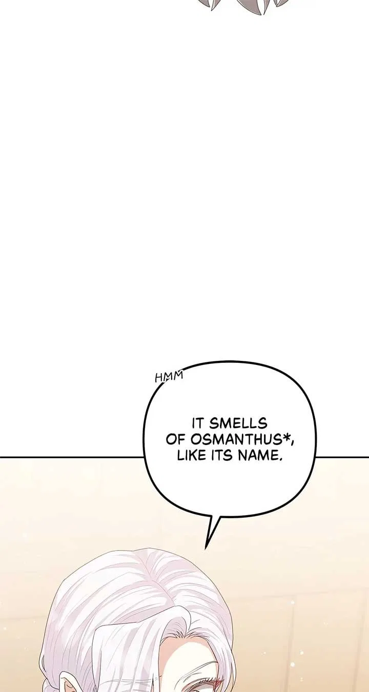 The Esteemed Lady of the Tea Garden Chapter 29 – Page 39
