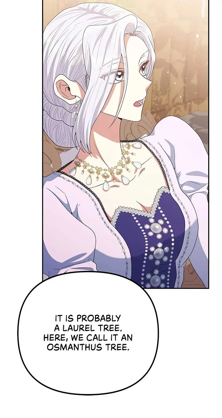 The Esteemed Lady of the Tea Garden Chapter 29 – Page 66