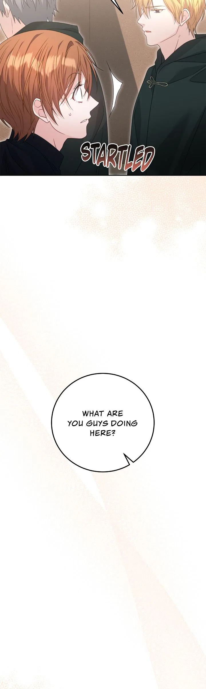 My Favorite Novel Has a Weird Epilogue Chapter 50 – Page 28