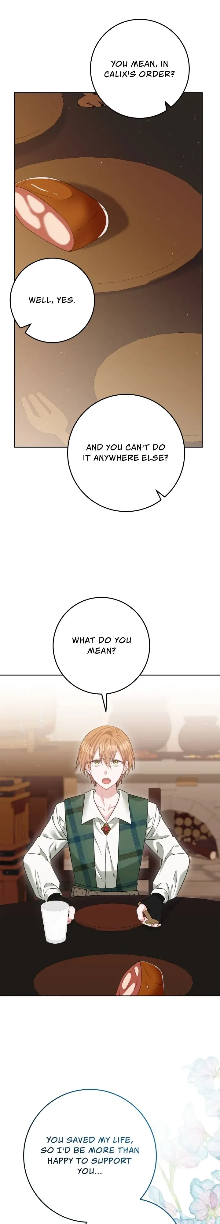 My Favorite Novel Has a Weird Epilogue Chapter 29 – Page 21