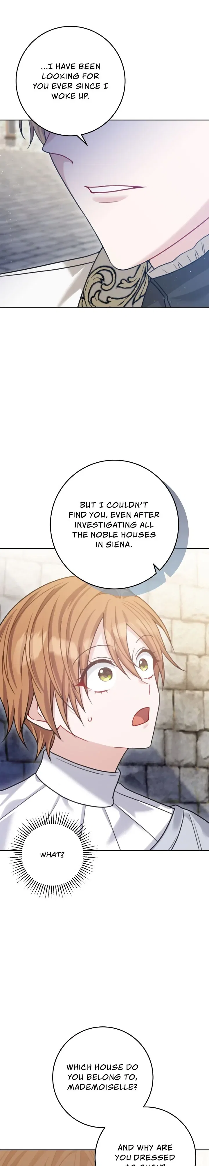 My Favorite Novel Has a Weird Epilogue Chapter 25 – Page 18
